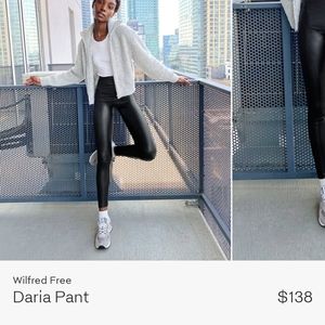 Wilfred Daria Pant